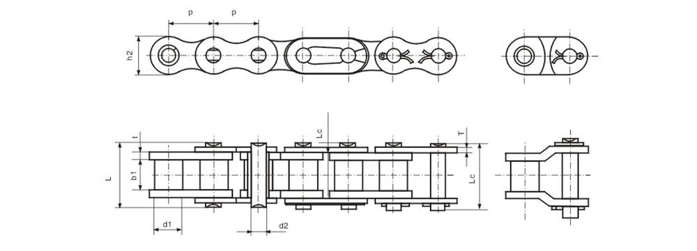 单排不锈钢滚子链 Simplex roller (ss) chains-1.jpg